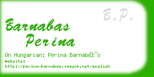 barnabas perina business card